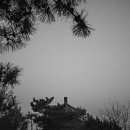 《波斯王子：失落的王冠》PC试玩版现已开放下载